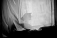 /album/brda/idreamedyouwerecarriedawayonthecrestofa-wave-2011-jpg/